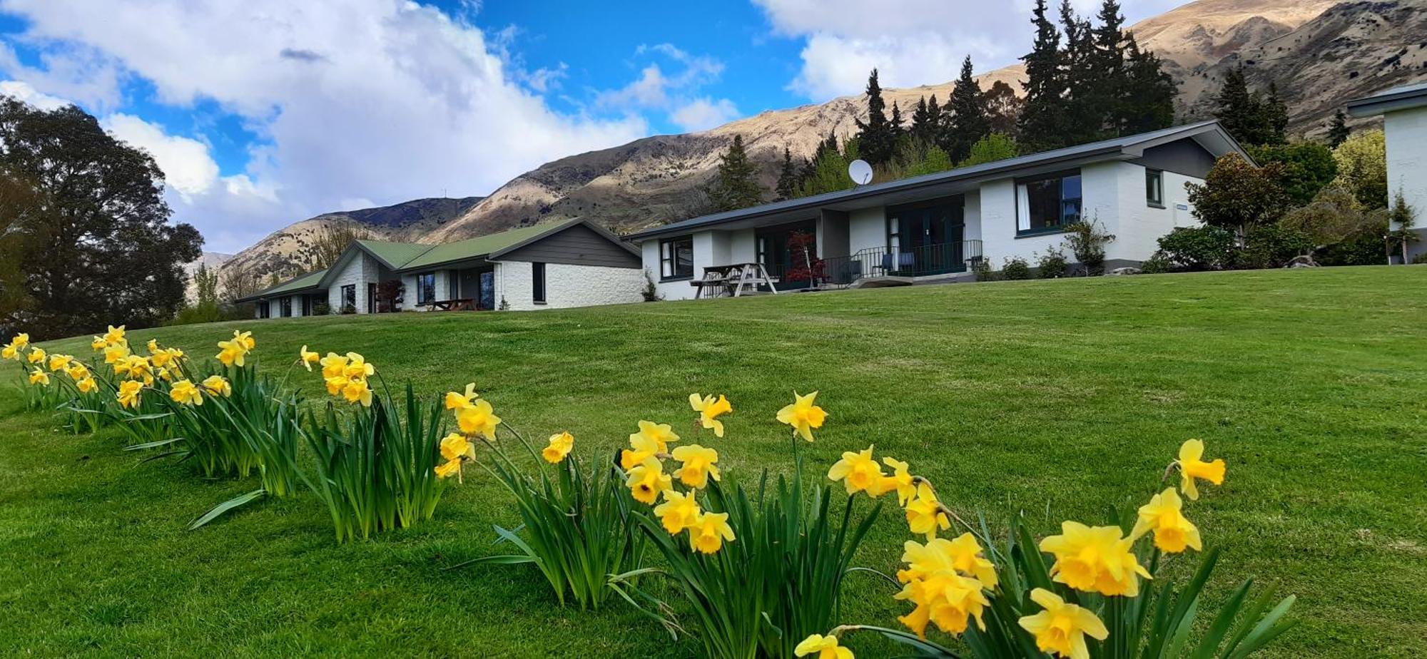 Wanaka Top 10 Holiday Park Kültér fotó